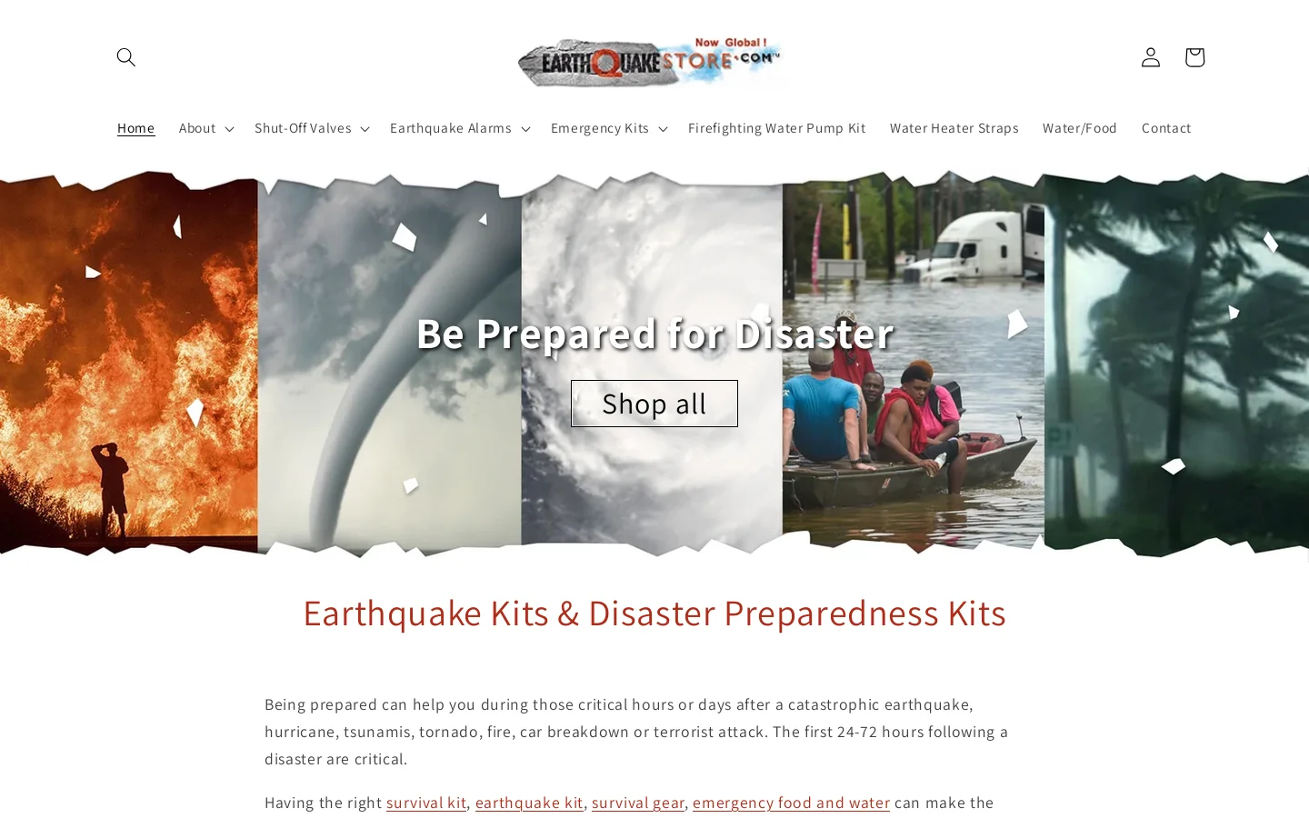 Earthquake Store Homepage screenshot