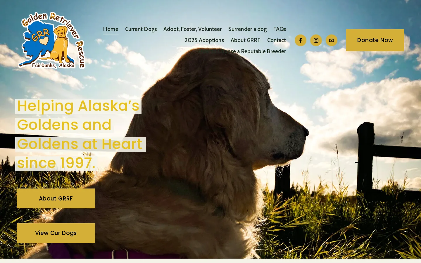 Golden Retriever Rescue of Fairbanks Homepage screenshot