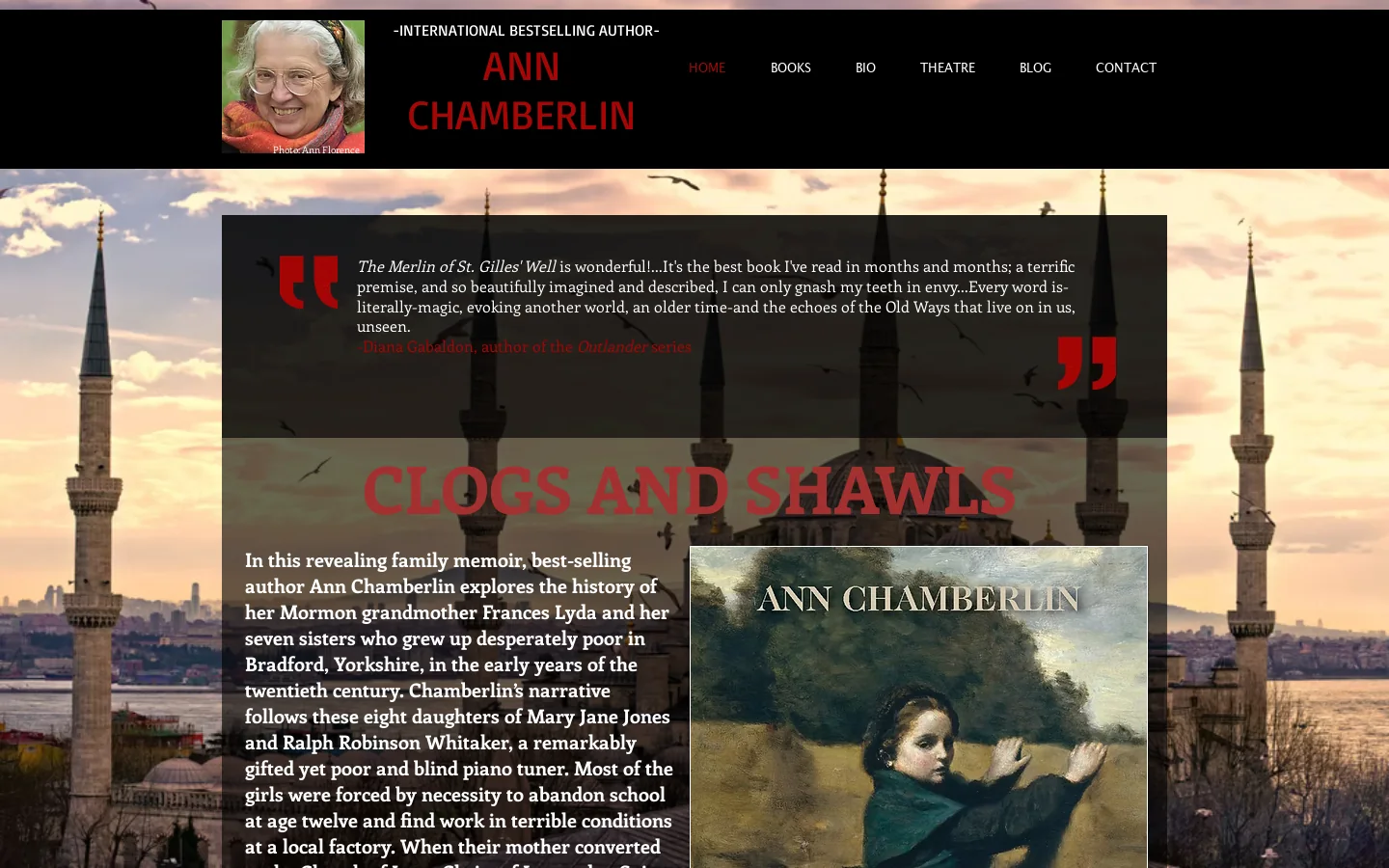 HOME | annchamberl Homepage screenshot
