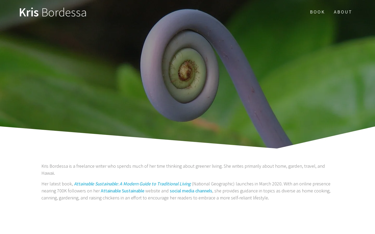 Kris Bordessa Homepage screenshot