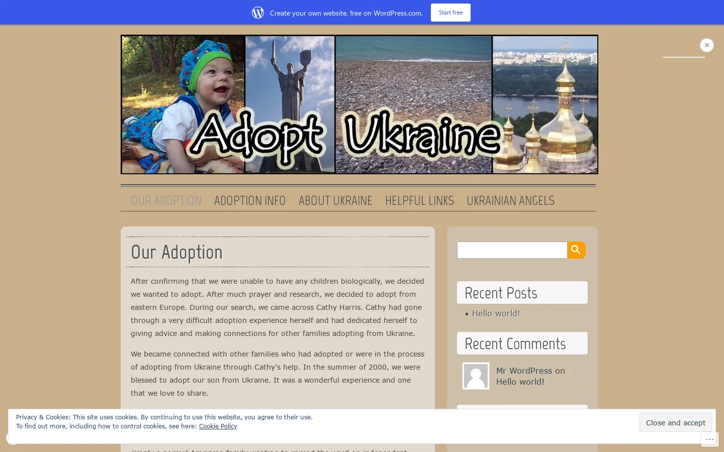 Adopt Ukraine | Independent Ukraine Adoptions Homepage screenshot