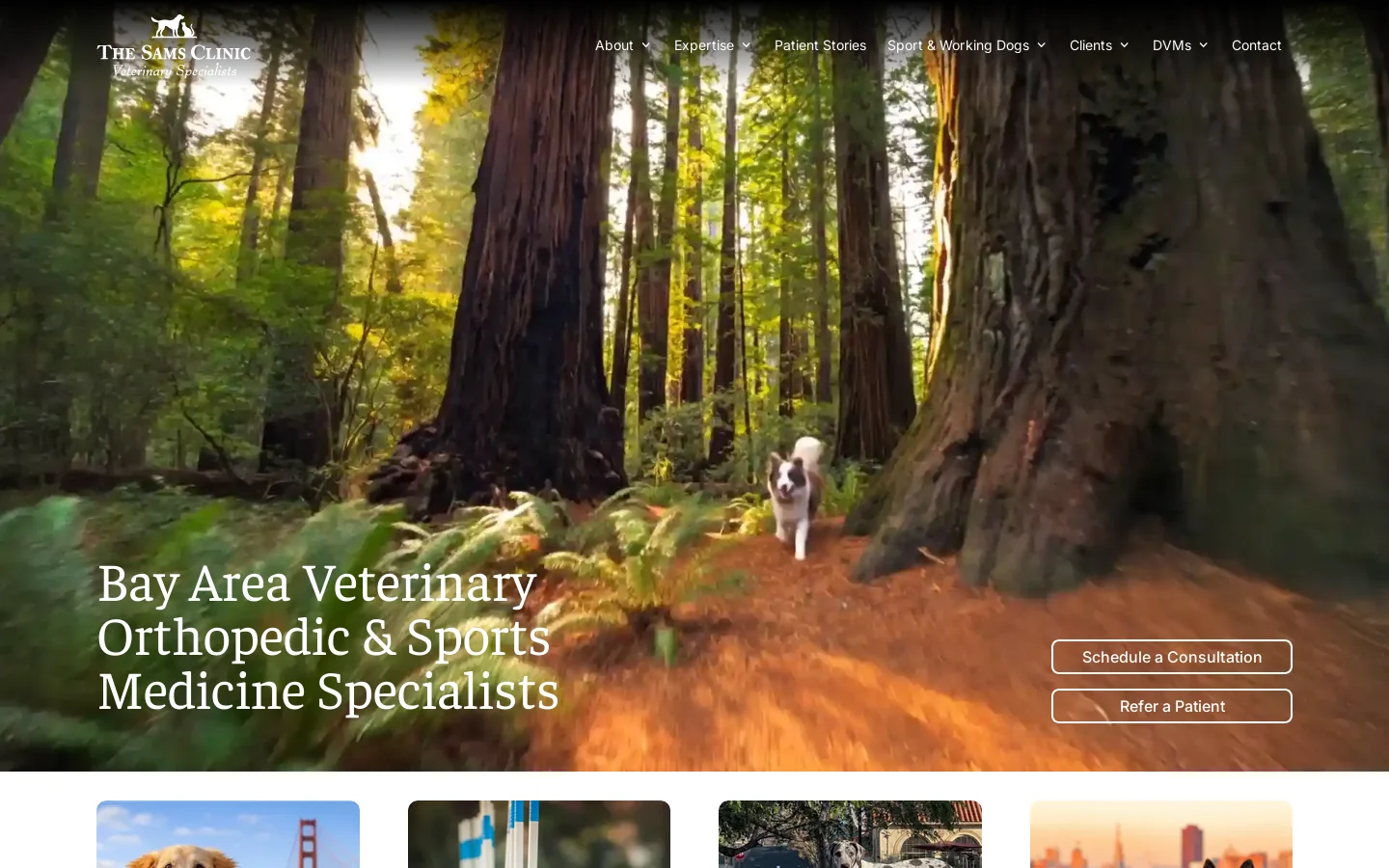 The Sams Clinic Homepage screenshot