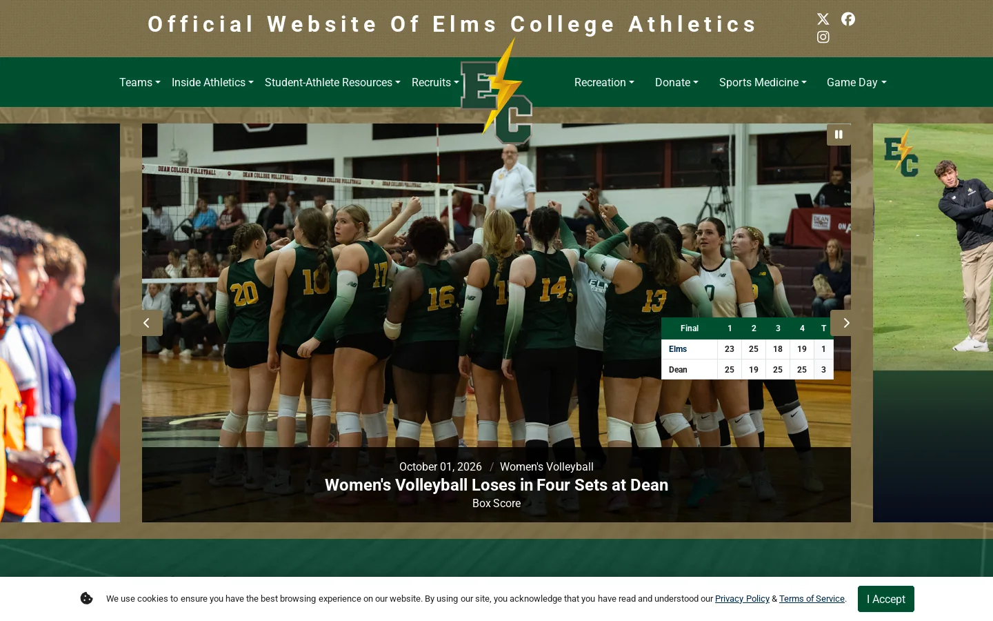Elms College Homepage screenshot