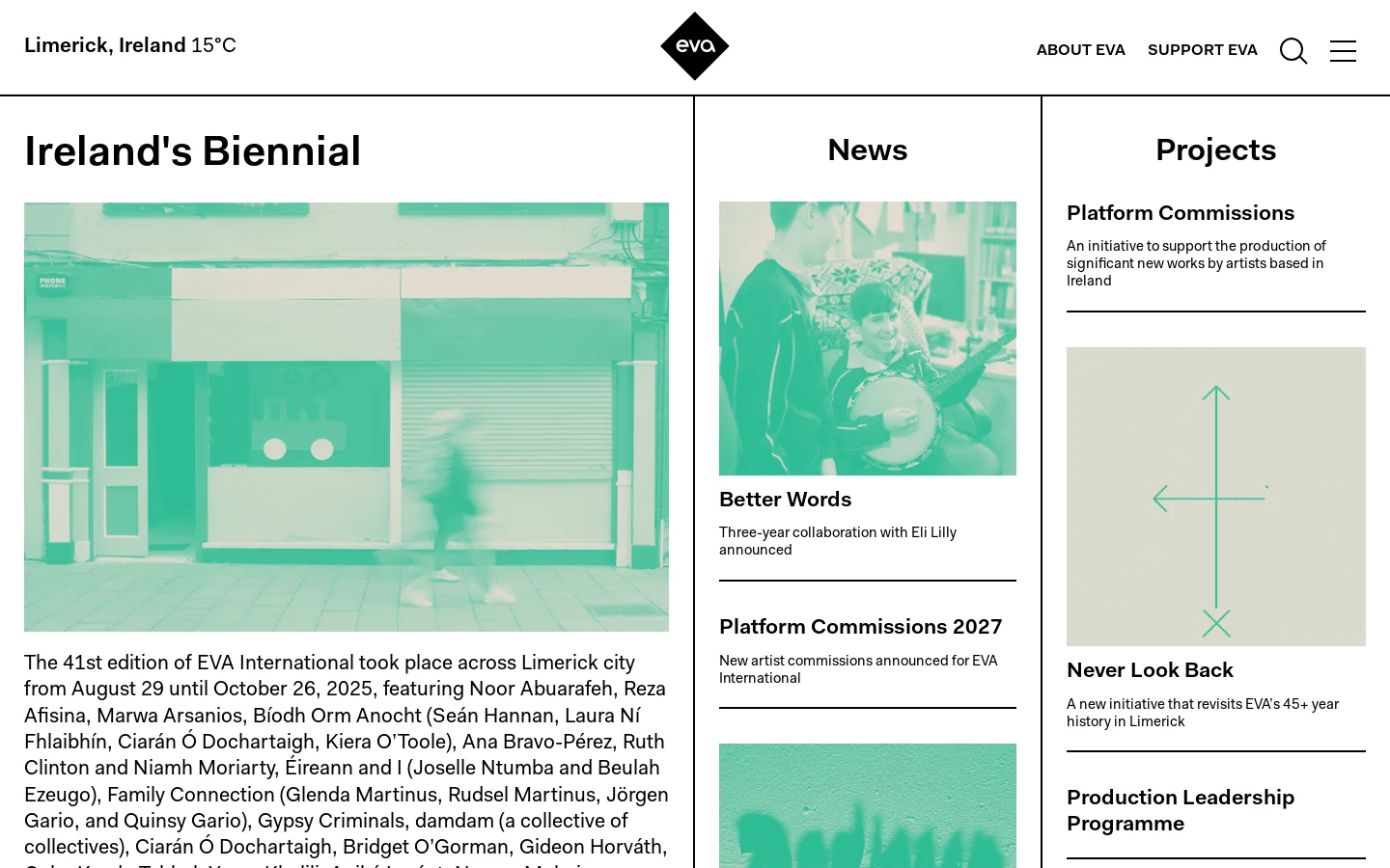 EVA International Homepage screenshot