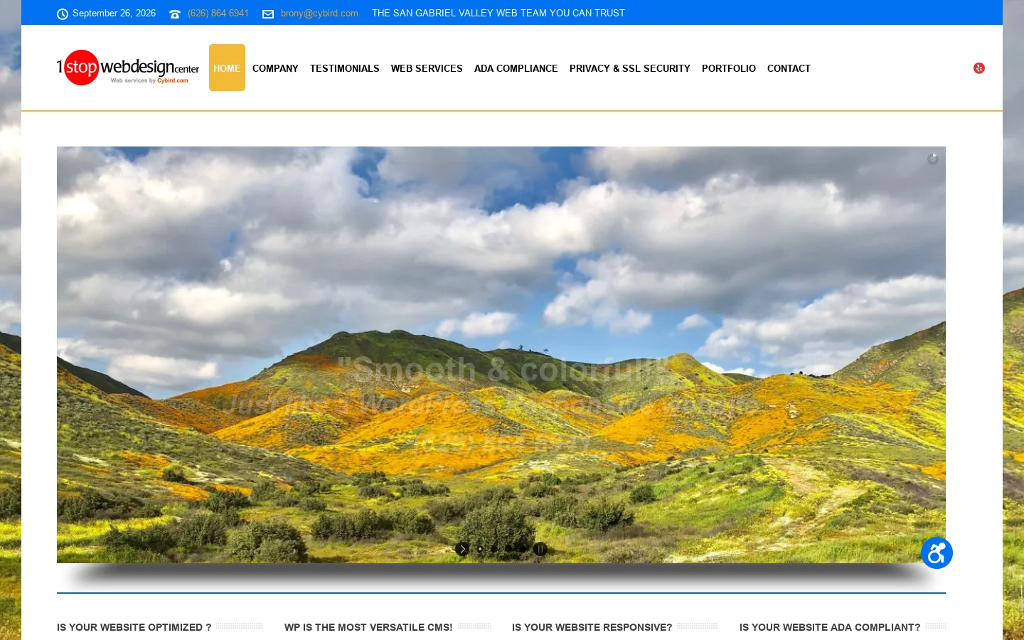 web design services Homepage screenshot