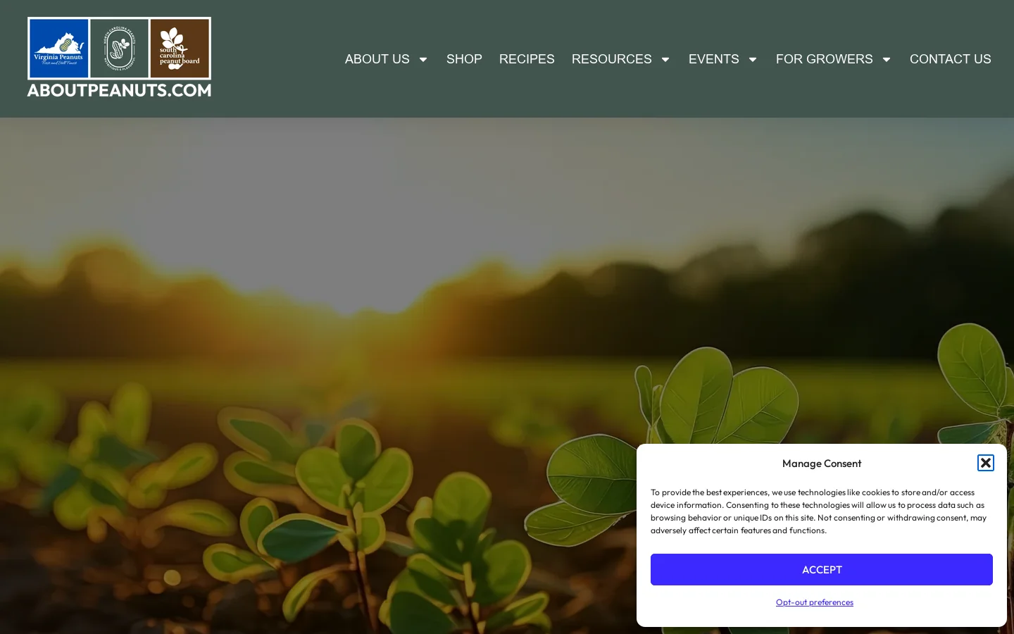 About Peanuts Homepage screenshot