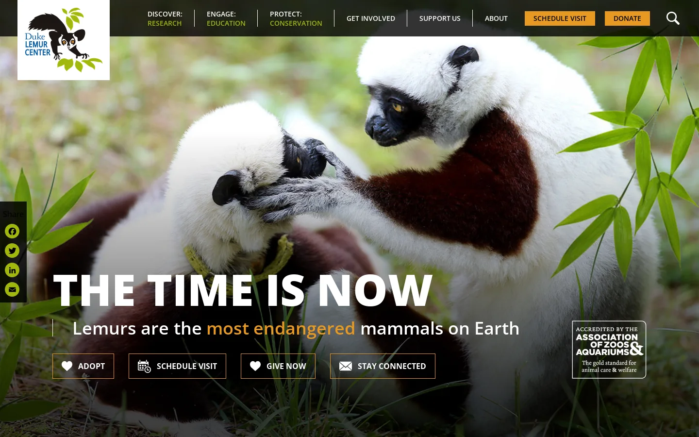 Duke Lemur Center - Duke Lemur Center Homepage screenshot
