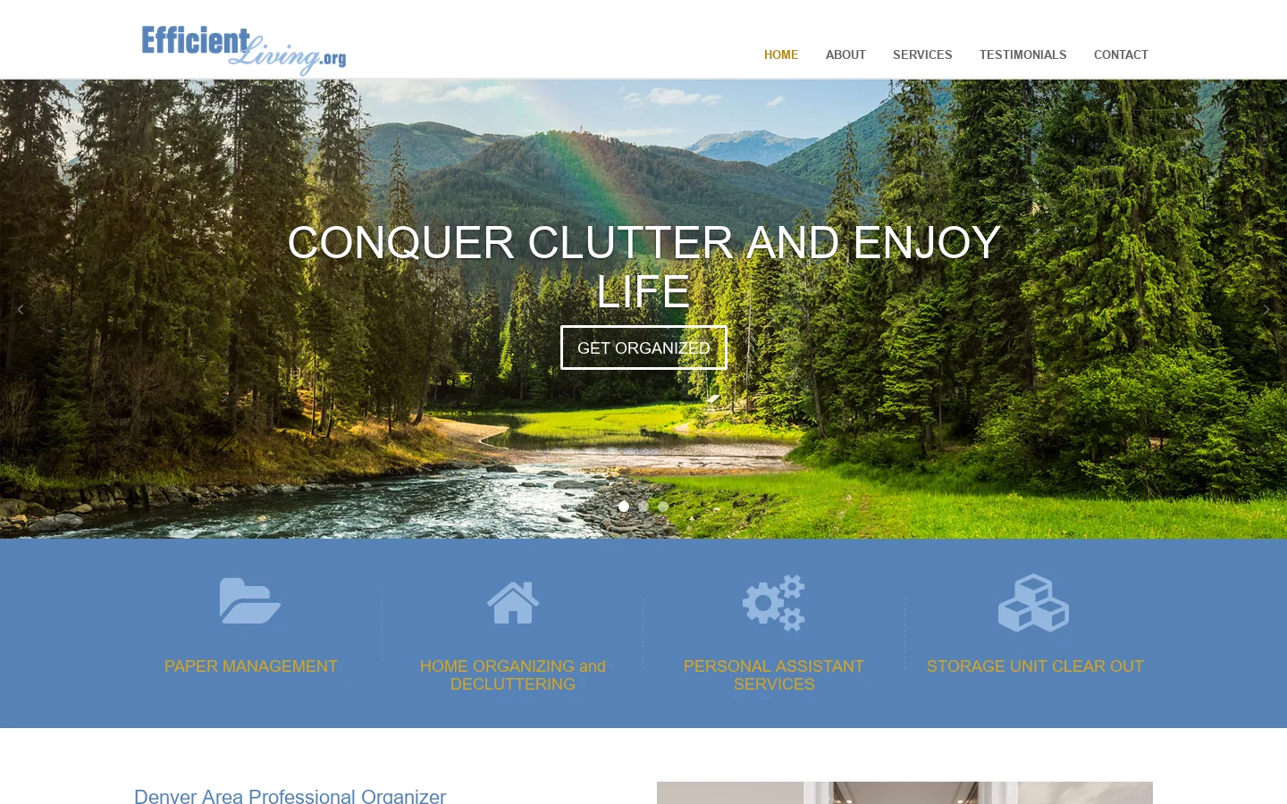 Denver Professional Organizer, Home or Office Organizing, Colorado Homepage screenshot
