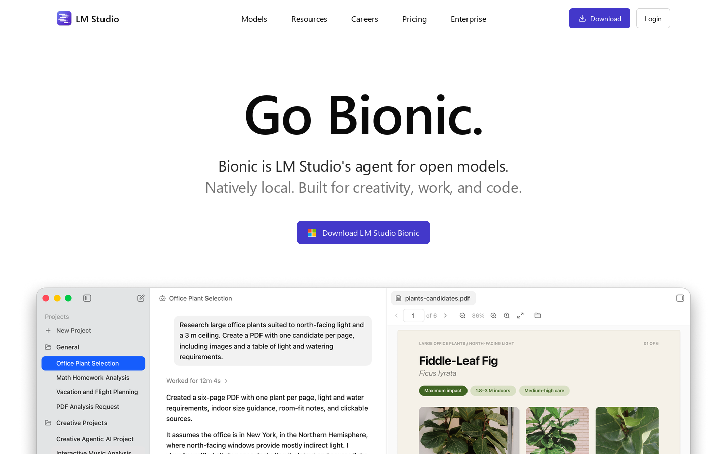 LM Studio Bionic Homepage screenshot