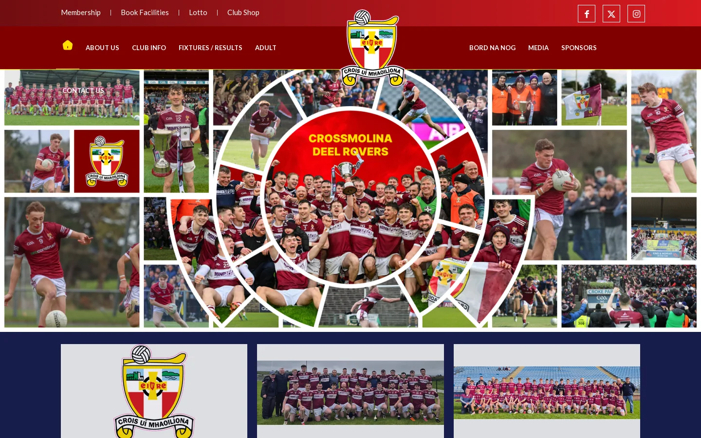 Deel Rovers GAA Homepage screenshot