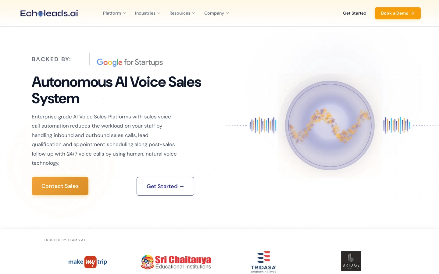 EchoLeads Homepage screenshot