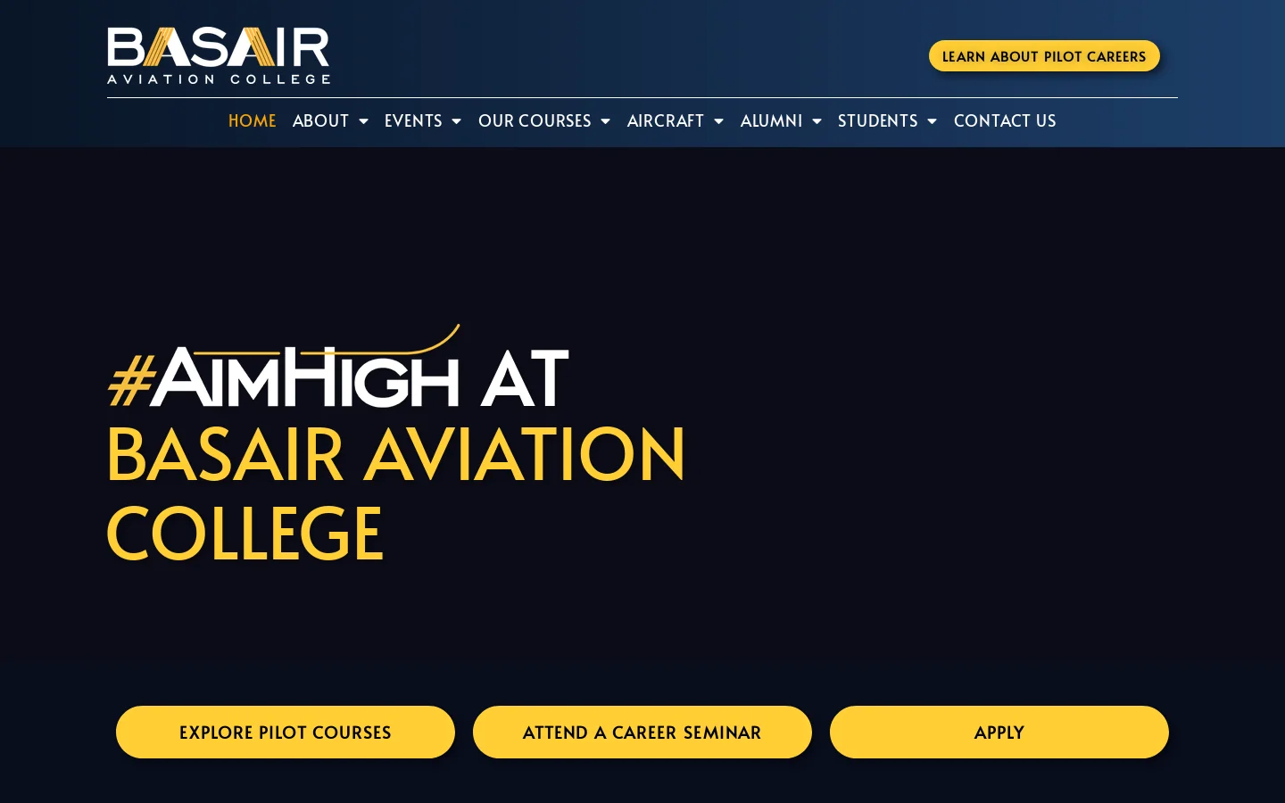 Basair Aviation College Homepage screenshot