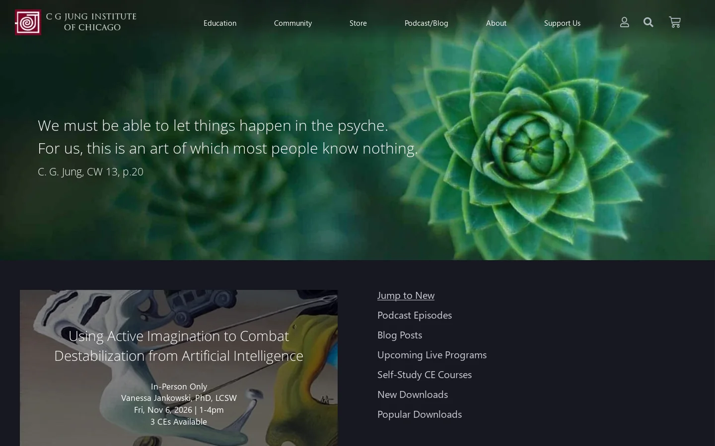 C. G. Jung Institute of Chicago – Analytical Psychology Training Homepage screenshot