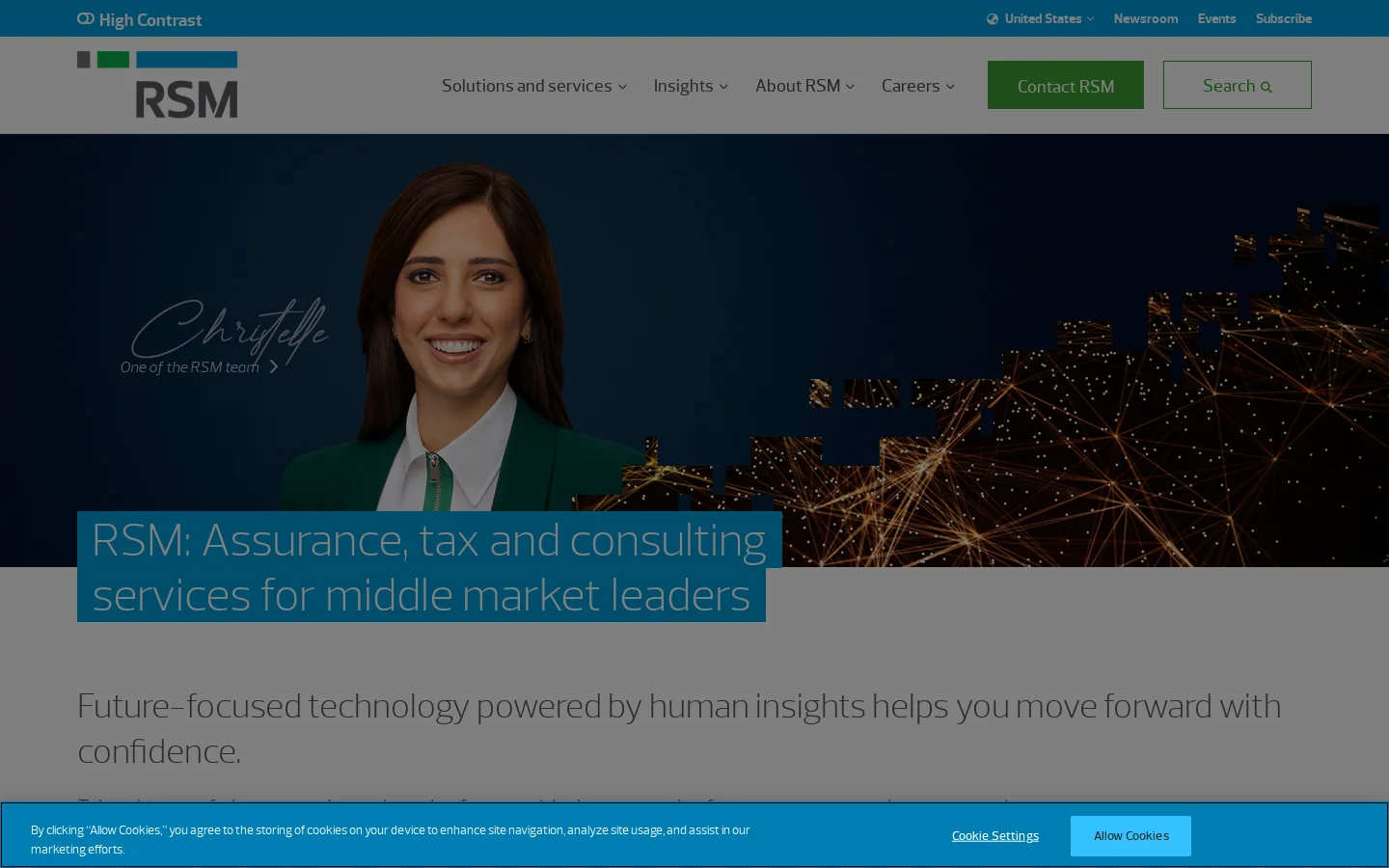RSM US Homepage screenshot