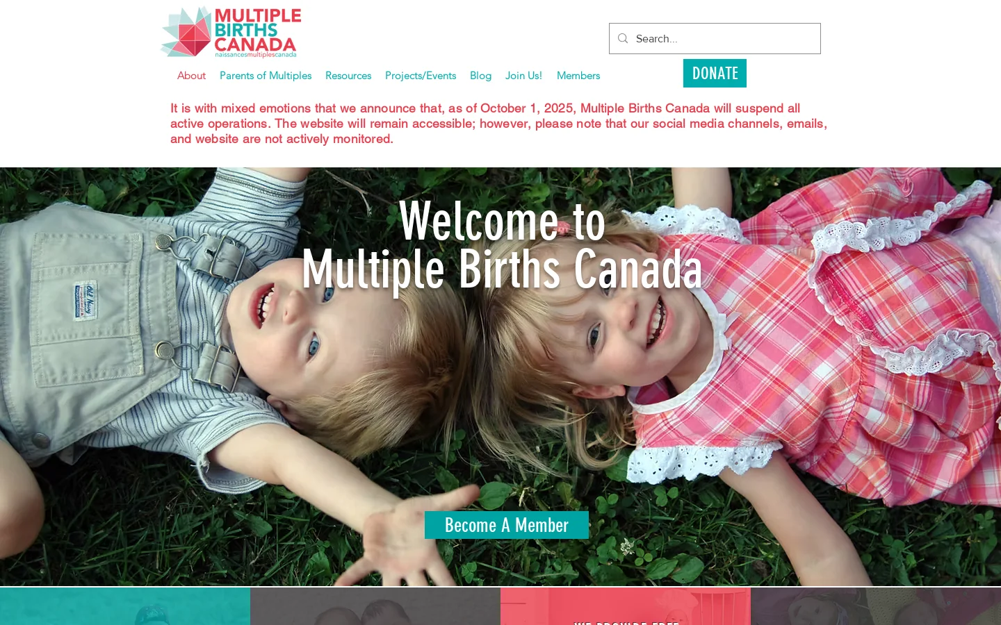 Multiple Births Canada Homepage screenshot