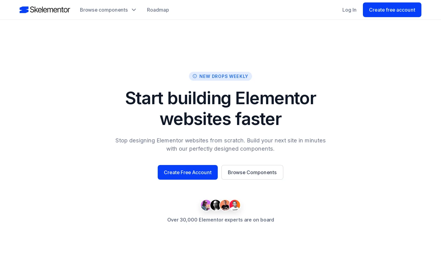 Skelementor Homepage screenshot