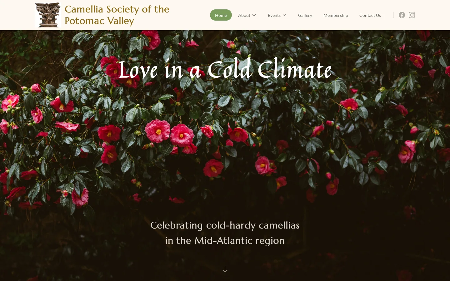Camellia Society of the Potomac Valley Homepage screenshot