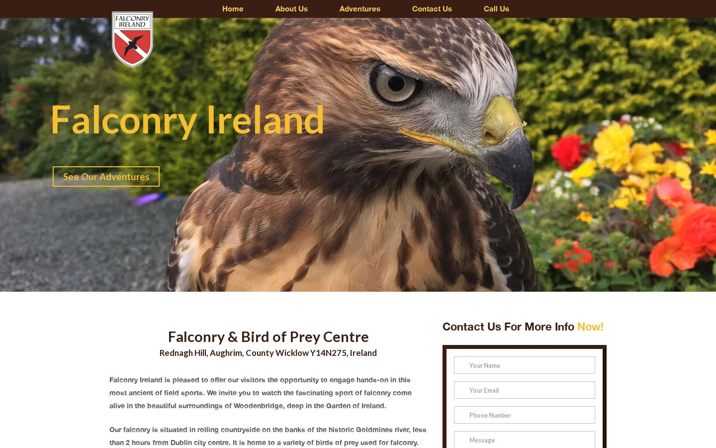 Falconry Ireland Homepage screenshot