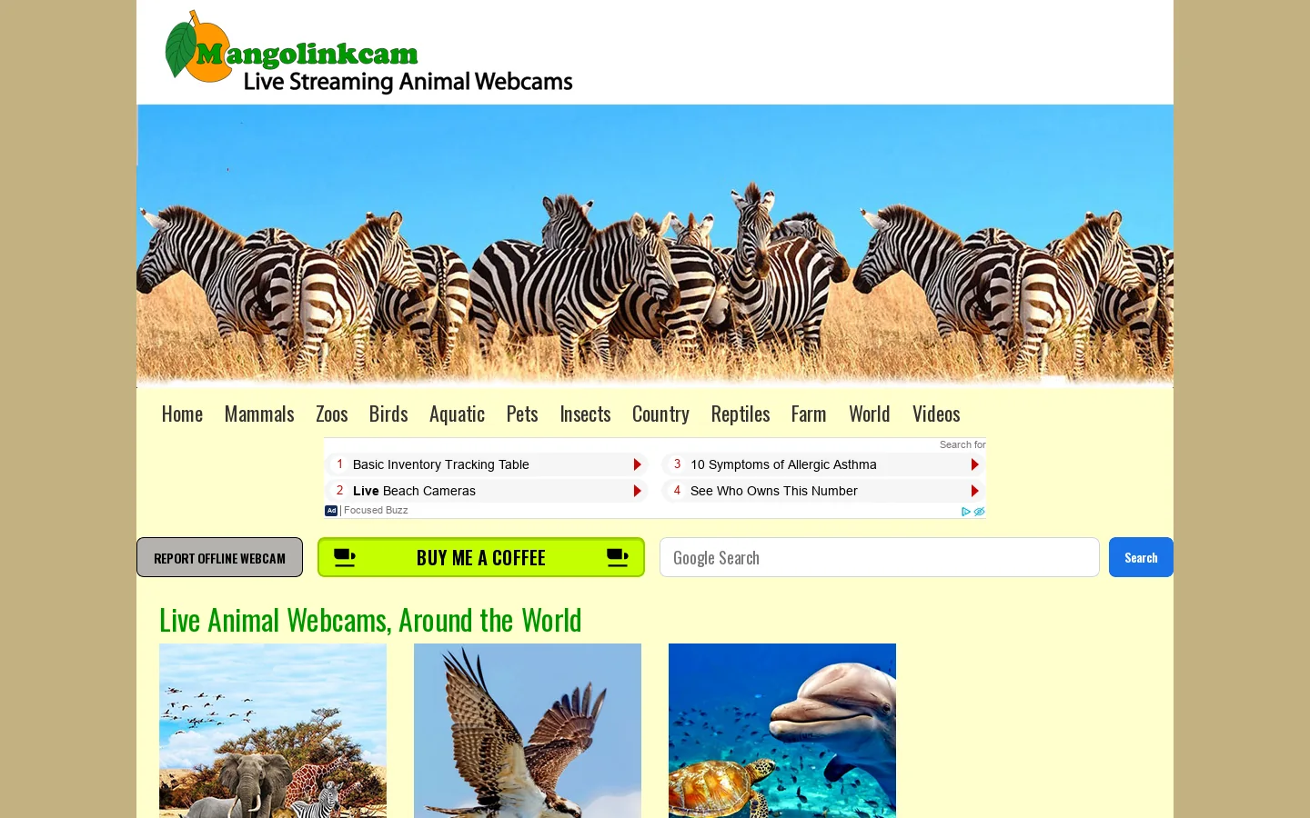 Live Streaming Animal Webcams, Around the World Homepage screenshot