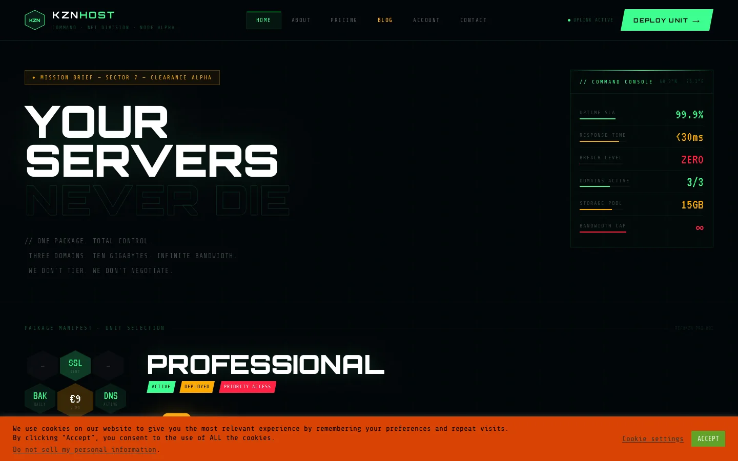 KZNhost Homepage screenshot