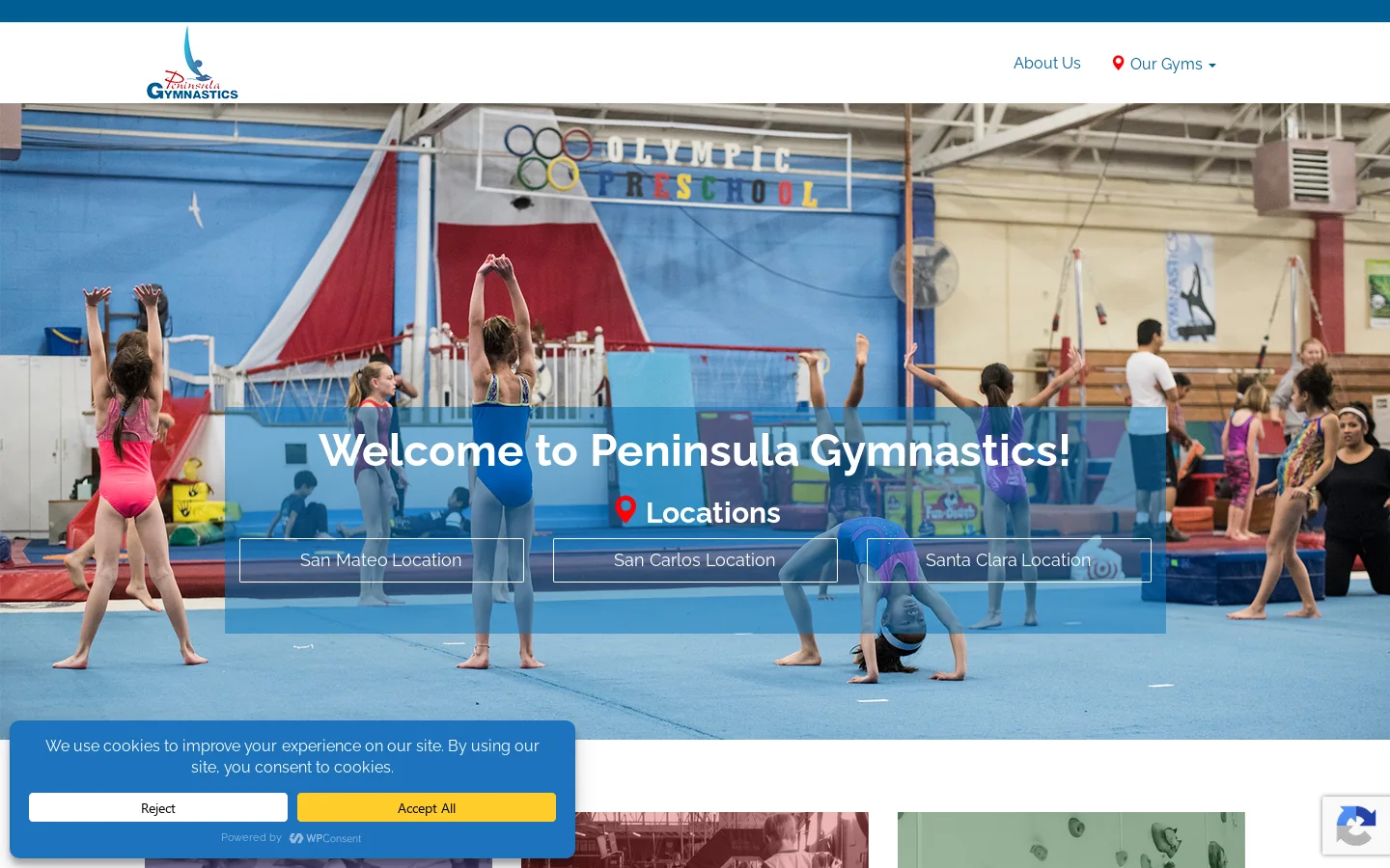 Peninsula Gymnastics Homepage screenshot