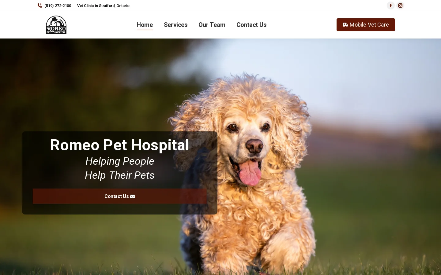 Romeo Pet Hospital Homepage screenshot