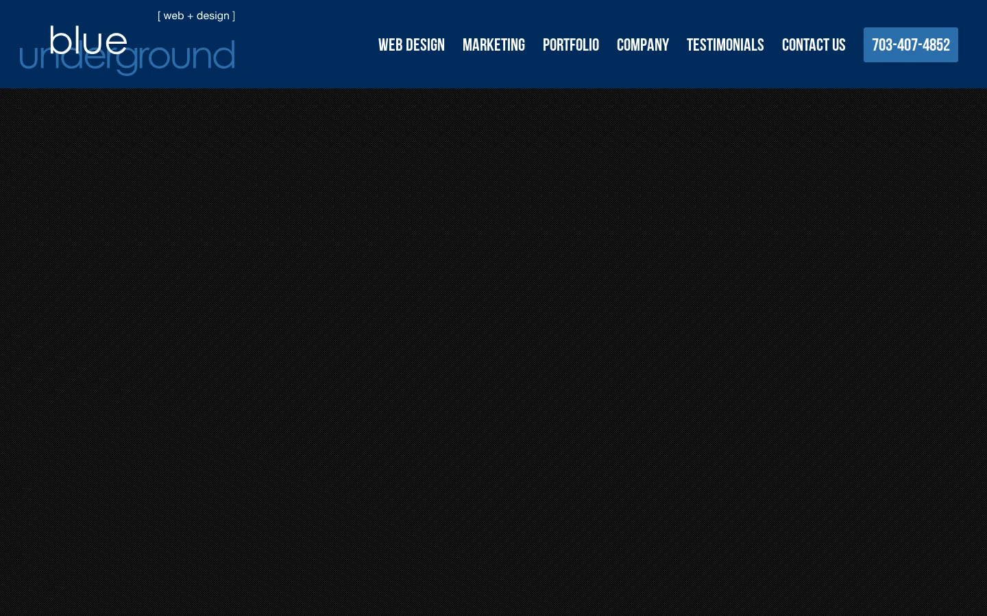 Website Design, WordPress, Logos & Branding in Arlington, VA Homepage screenshot