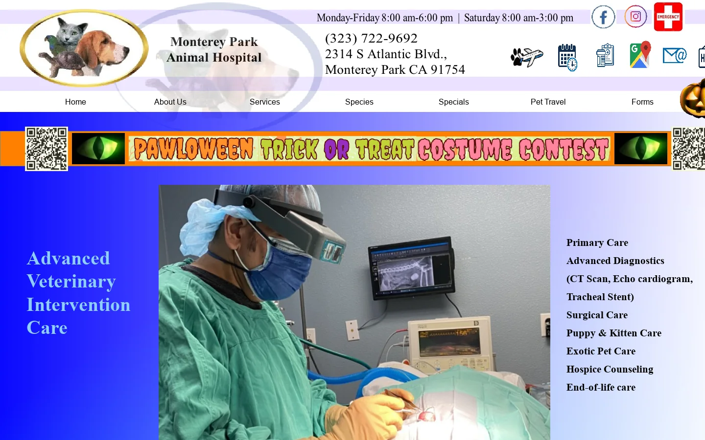 Home Homepage screenshot