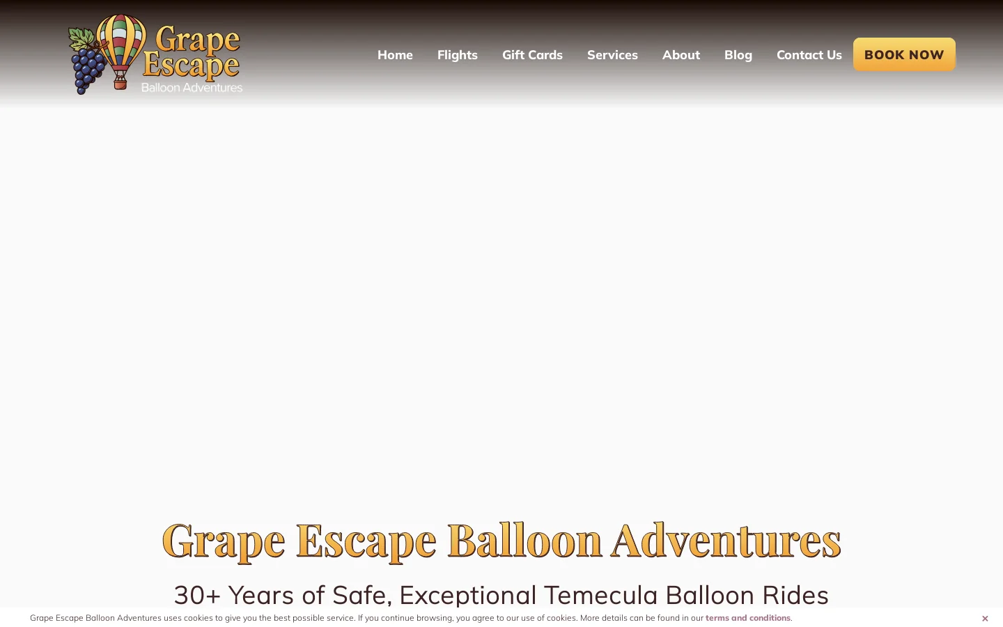 Grape Escape Balloon Adventures | Temecula Hot Air Balloon Ride Homepage screenshot