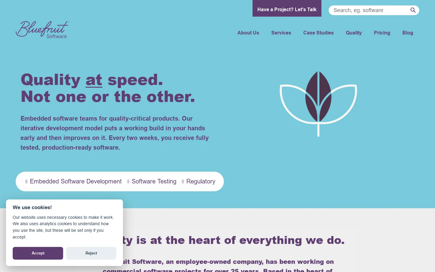Embedded Software Development, Software Testing & Consulting Homepage screenshot