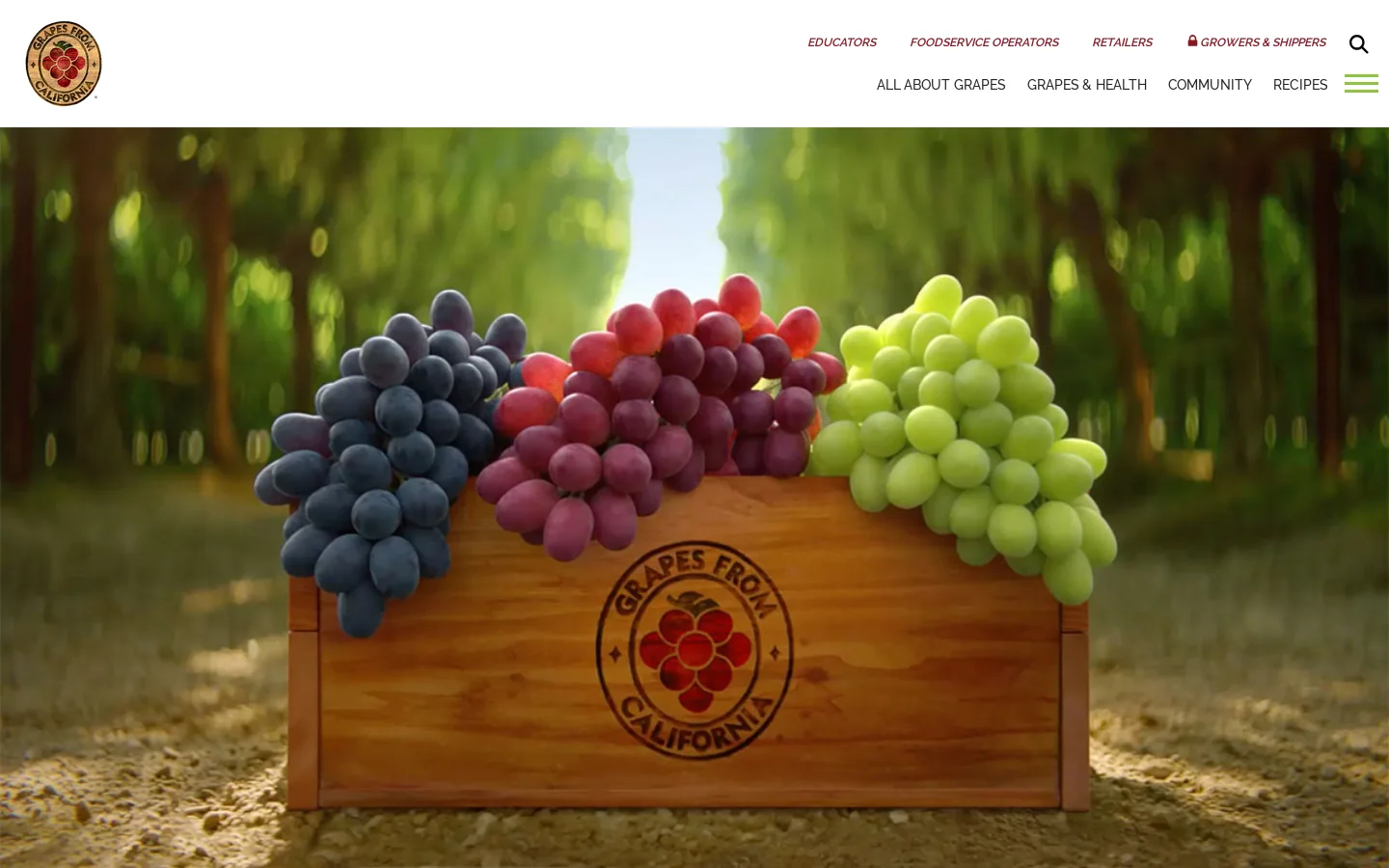 Home | Homepage screenshot