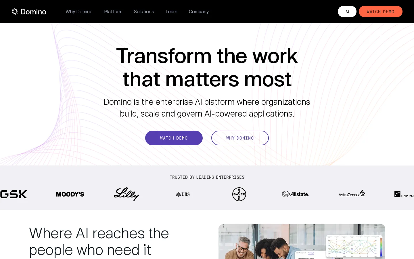 Domino Data Lab Homepage screenshot