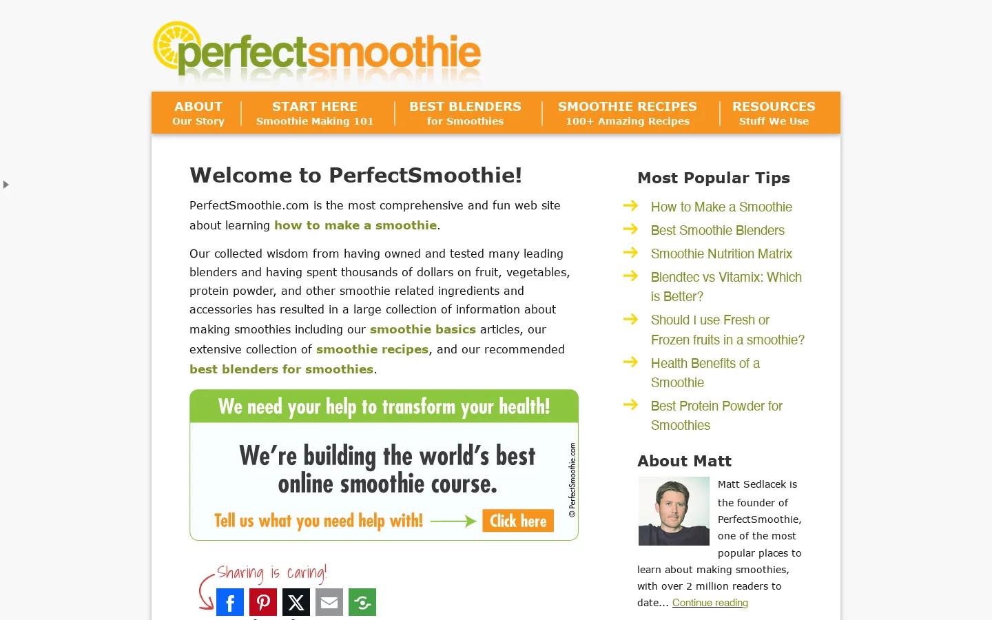 PerfectSmoothie.com Homepage screenshot