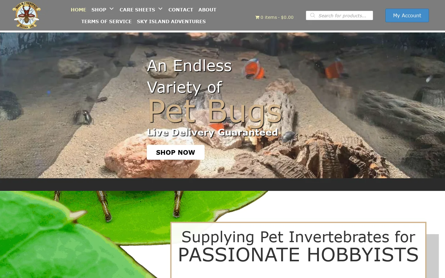 Bugs In Cyberspace Homepage screenshot