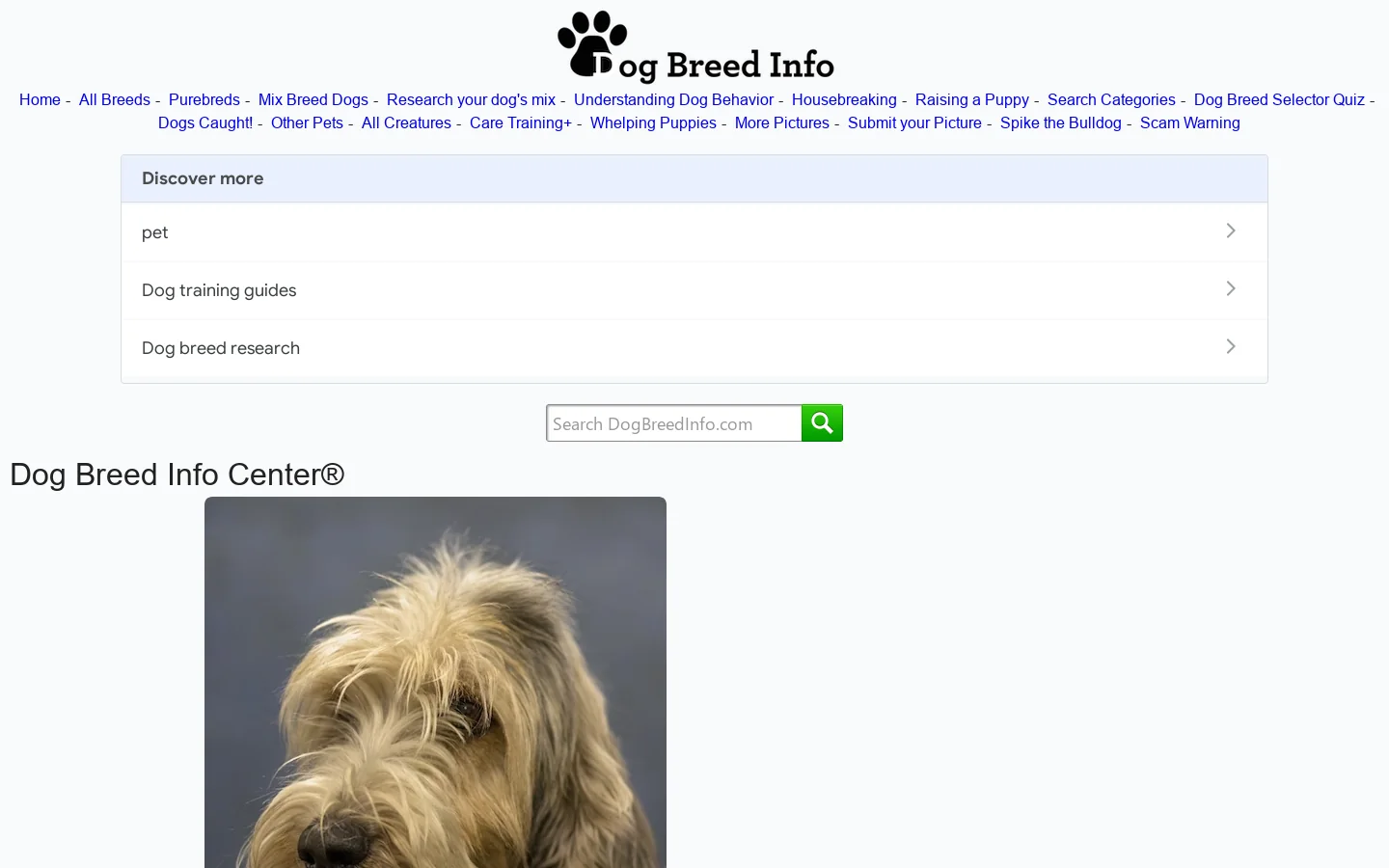 Briar Day in the Life: 13 Weeks Old Homepage screenshot
