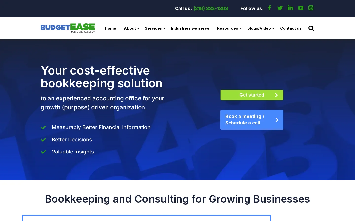 BudgetEase Homepage screenshot