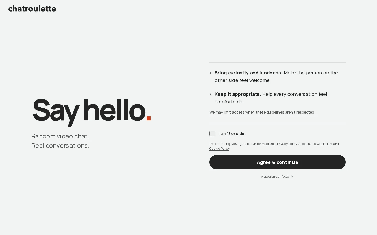 Chatroulette Homepage screenshot