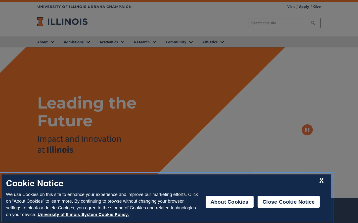 Illinois Homepage screenshot