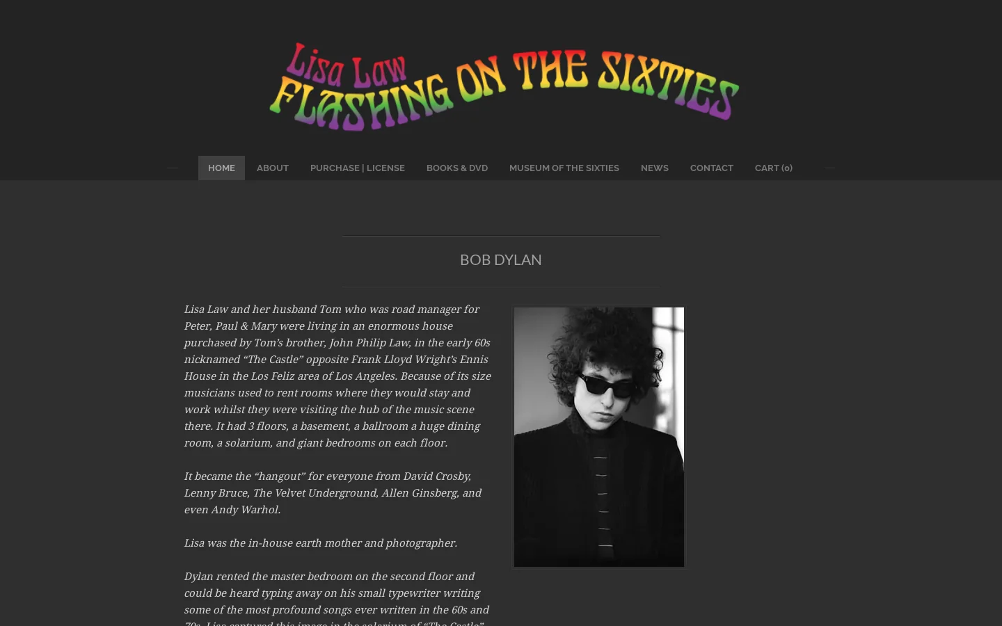 Flashing on the Sixties Homepage screenshot