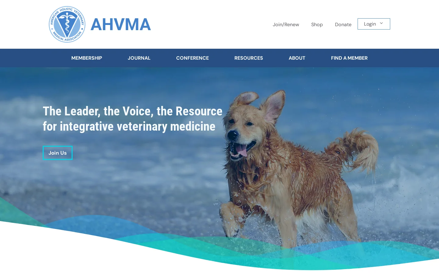 AHVMA Homepage screenshot