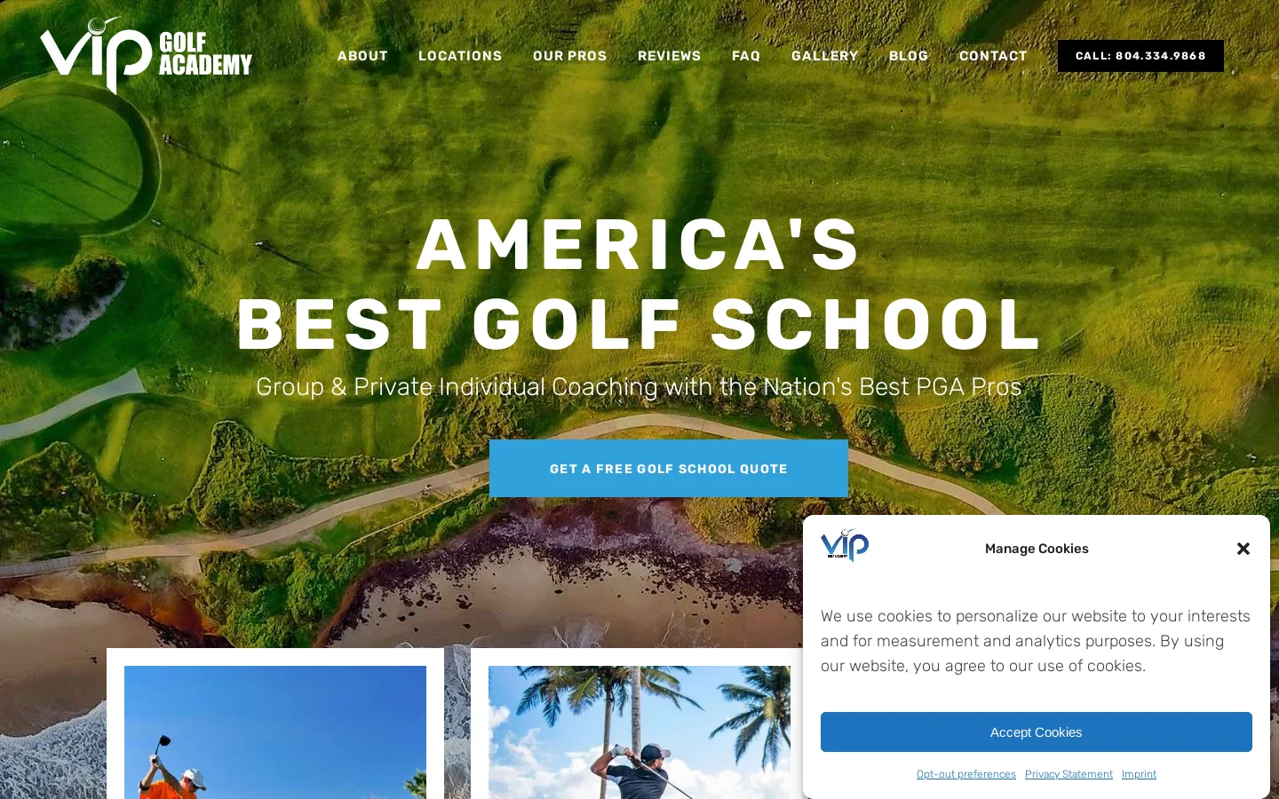 VIP Golf Academy Homepage screenshot
