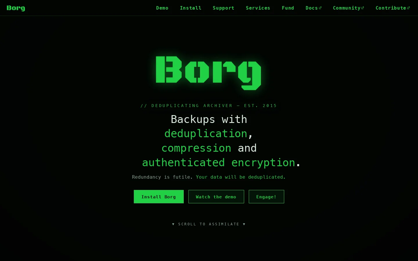 BorgBackup Homepage screenshot