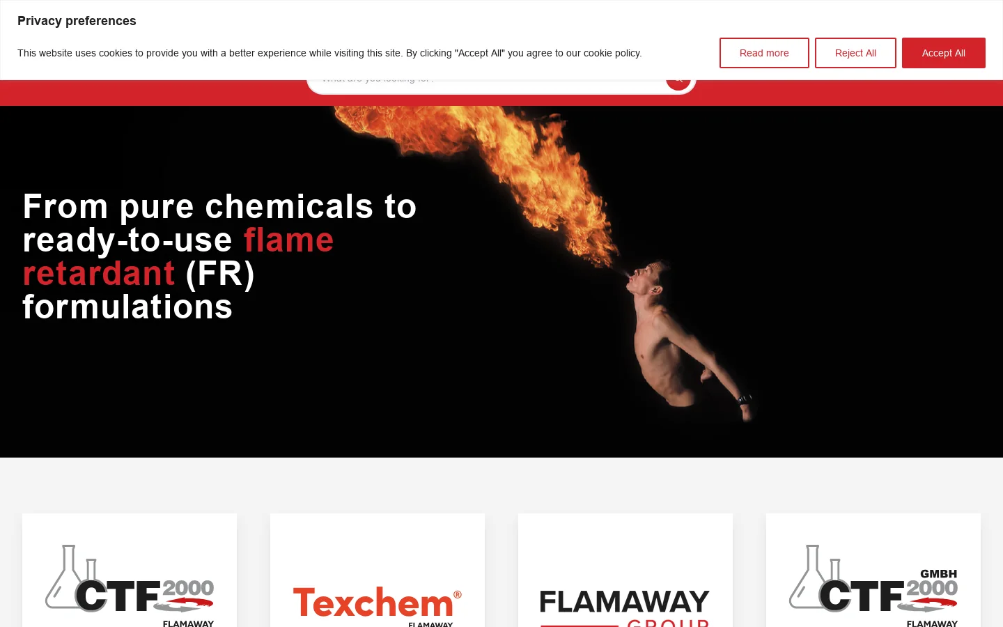 Flamaway Group Homepage screenshot