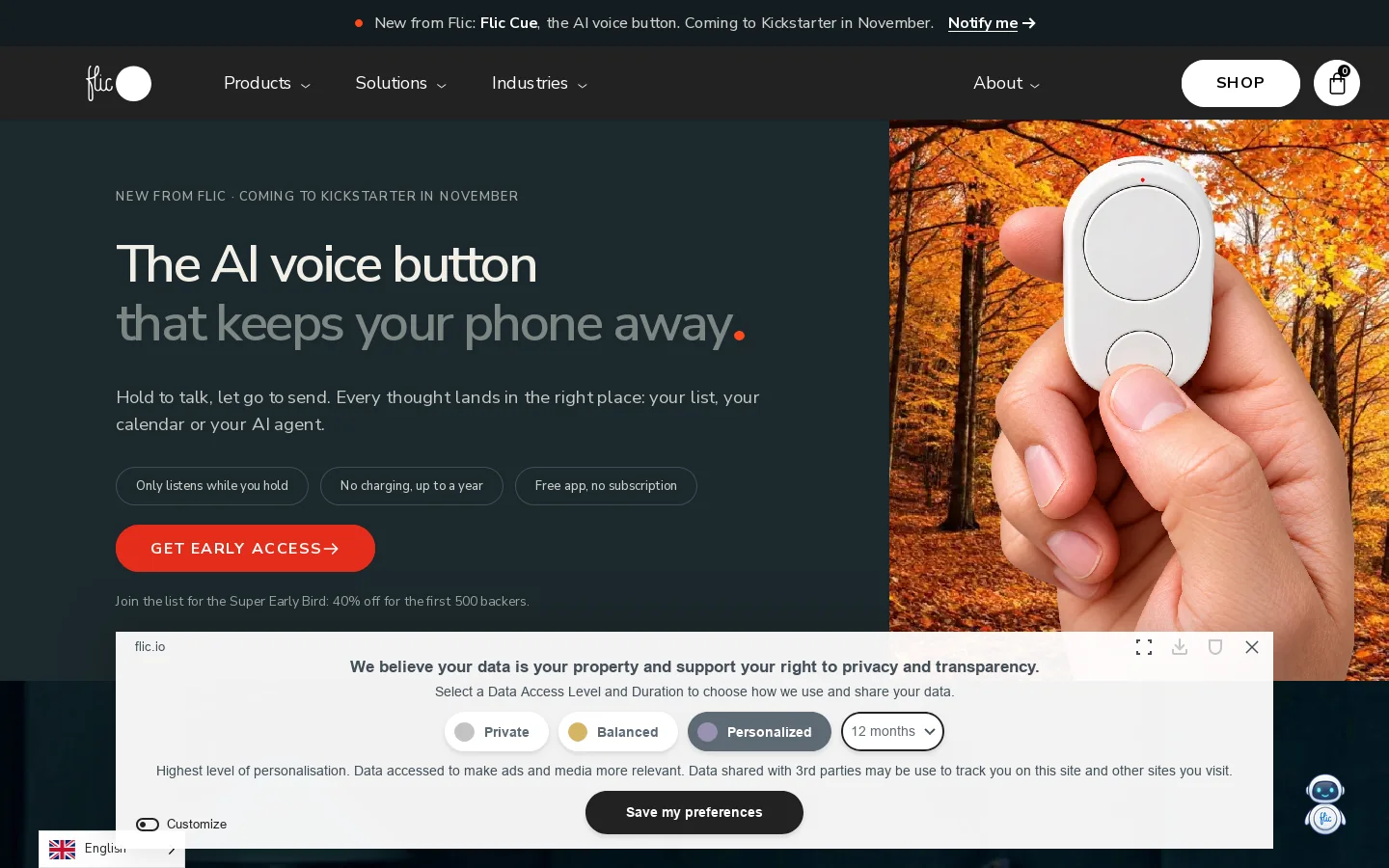 Flic Homepage screenshot