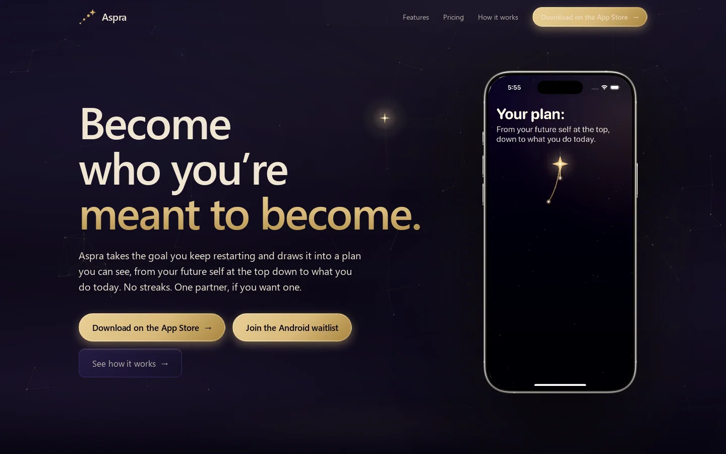 Aspra Homepage screenshot