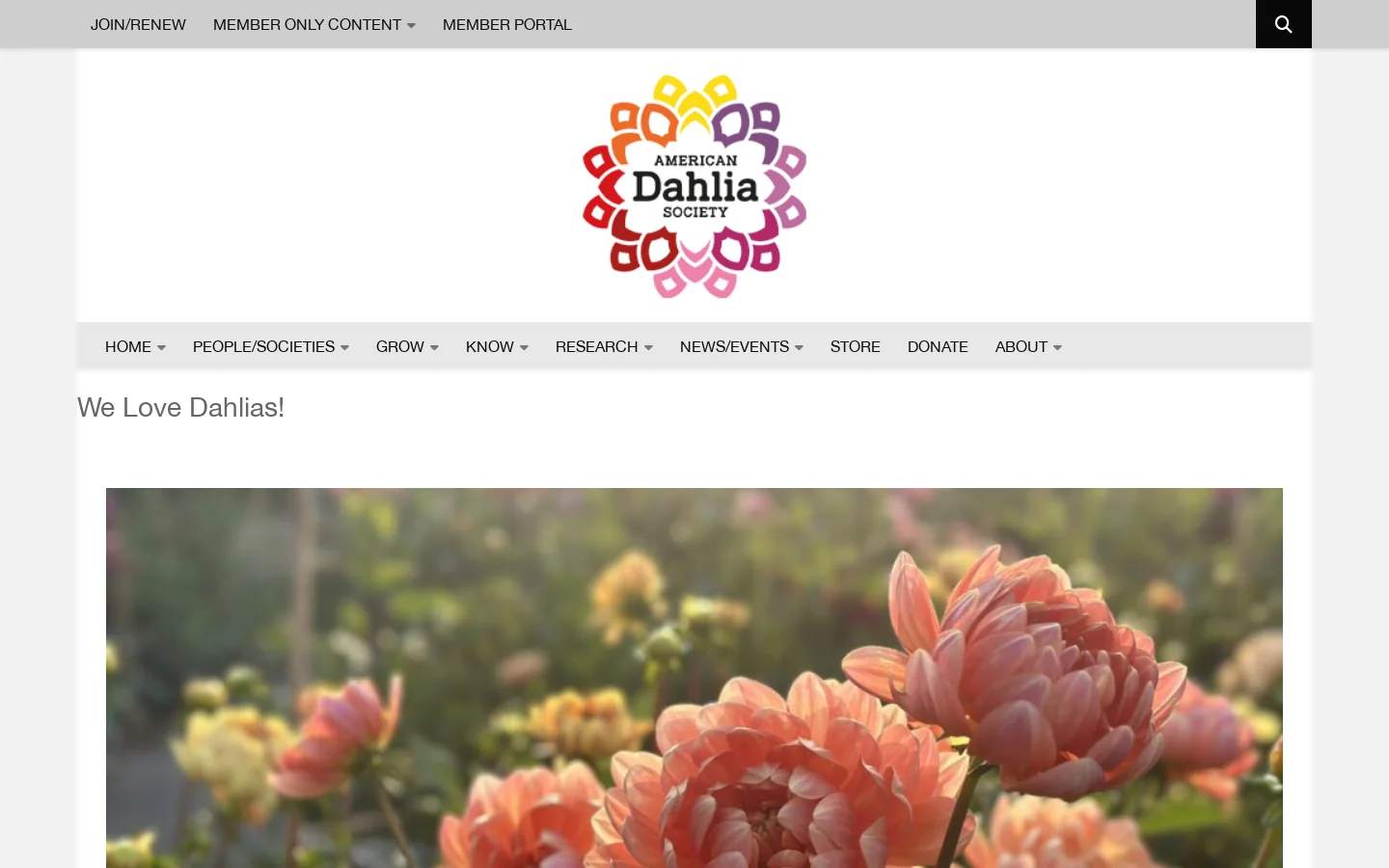 The American Dahlia Society - #Home - The American Dahlia Society Homepage screenshot