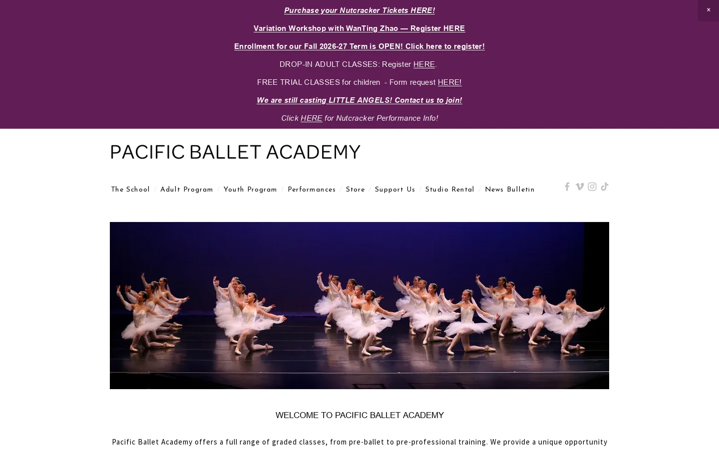 Pacific Ballet Academy Homepage screenshot