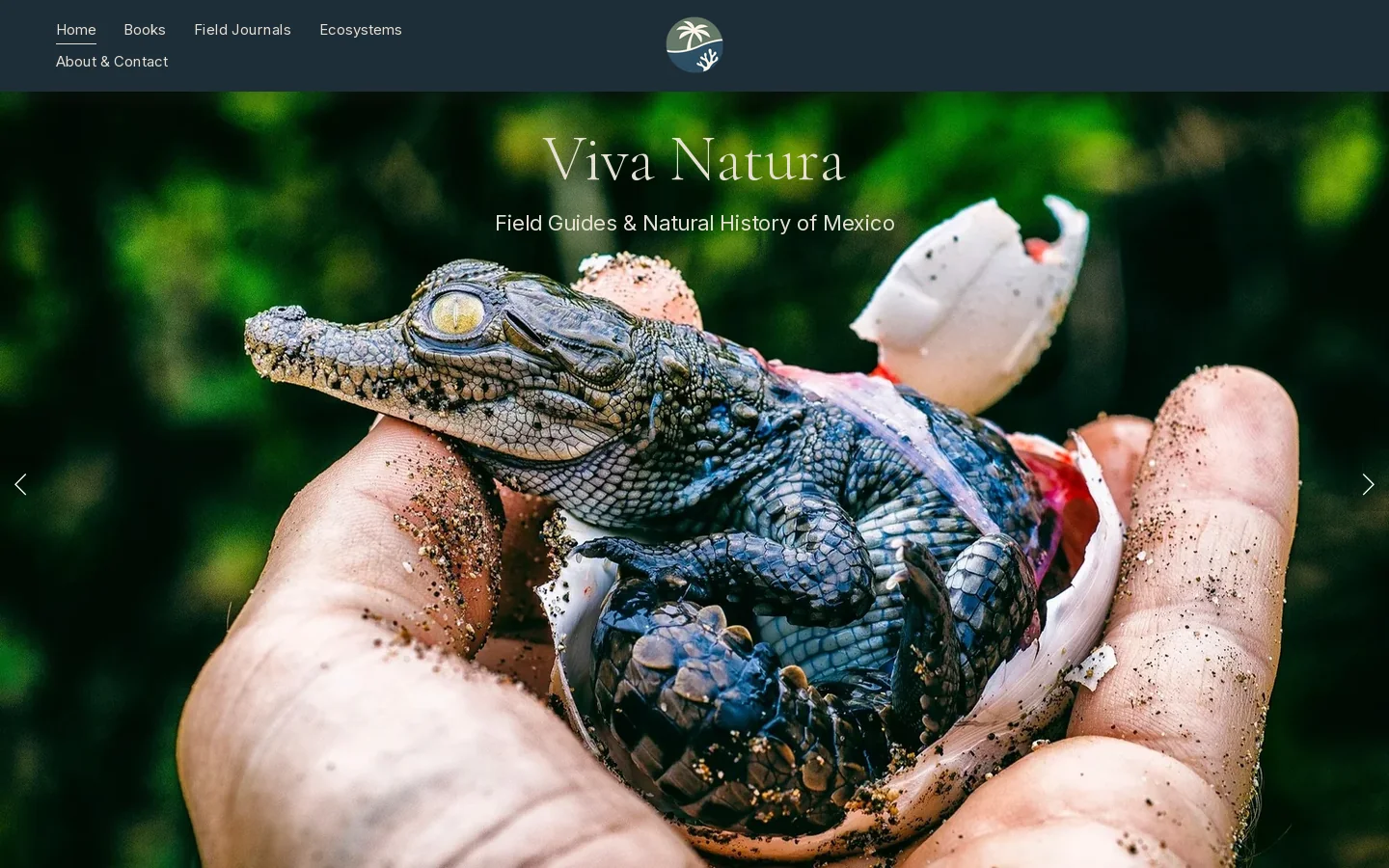 Viva Natura Homepage screenshot