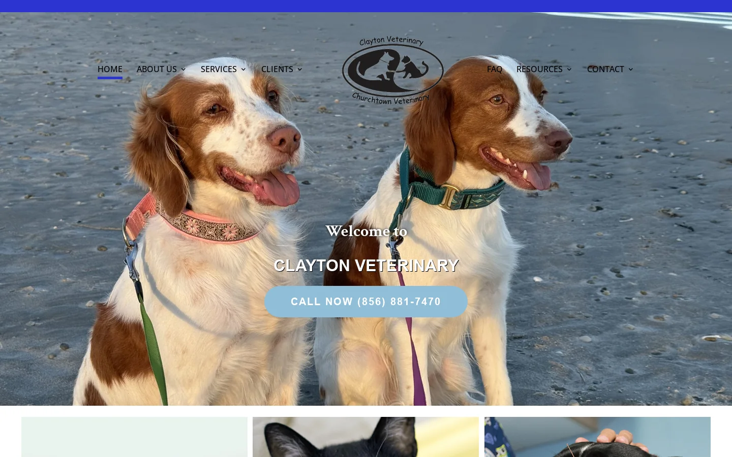Clayton Veterinary | Serving Clayton, New Jersey Homepage screenshot