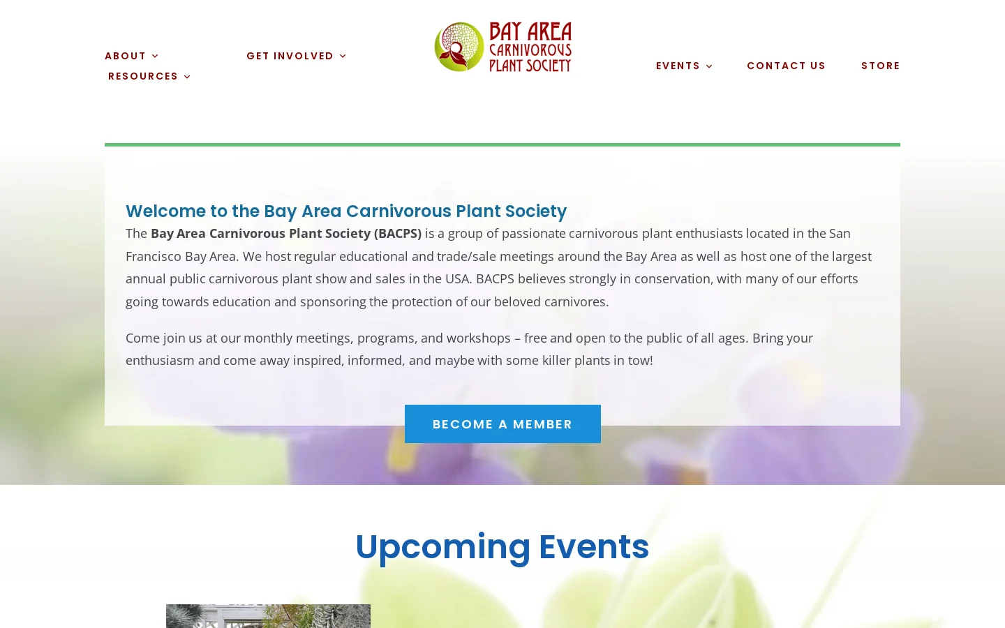 Bay Area Carnivorous Plant Society – We love plants! Homepage screenshot